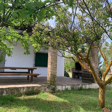 Gran Casa, Lagunas De Ruidera, Bbq, Porche, Chimenea מראה חיצוני תמונה