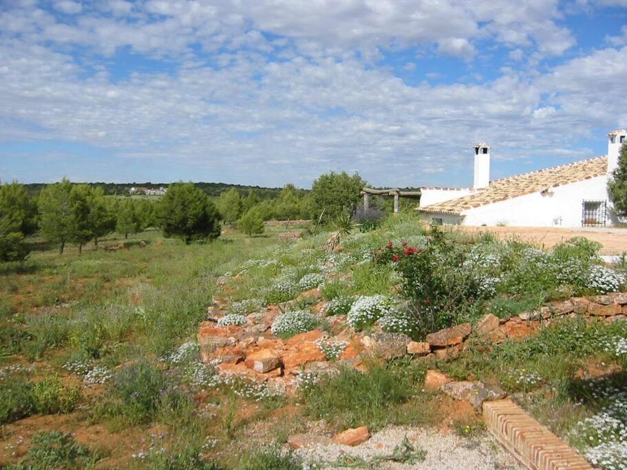 Gran Casa, Lagunas De Ruidera, Bbq, Porche, Chimenea מראה חיצוני תמונה