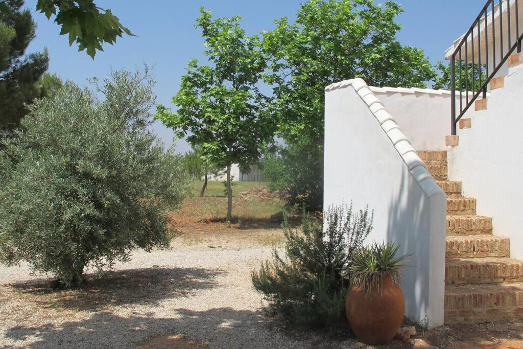 Gran Casa, Lagunas De Ruidera, Bbq, Porche, Chimenea מראה חיצוני תמונה