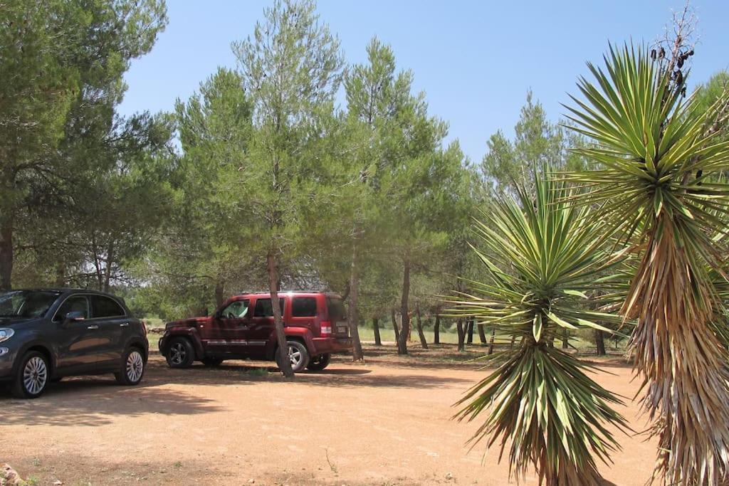 Gran Casa, Lagunas De Ruidera, Bbq, Porche, Chimenea מראה חיצוני תמונה