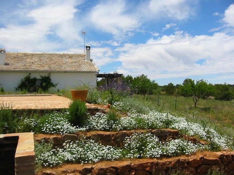 Gran Casa, Lagunas De Ruidera, Bbq, Porche, Chimenea מראה חיצוני תמונה