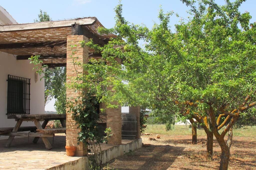 Gran Casa, Lagunas De Ruidera, Bbq, Porche, Chimenea מראה חיצוני תמונה